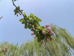 -元大都城垣遗址公园