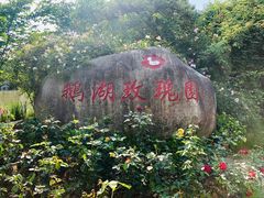 -鹅湖玫瑰文化园