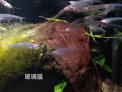 -太平洋海底世界