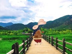 -泸沽湖国家级风景名胜区走婚桥