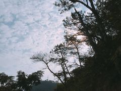-羚羊峡古栈道森林公园