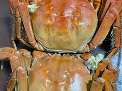 -阳澄湖大闸蟹·琼灵阁牌品牌连锁(吴中总店)
