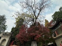 -兴教寺