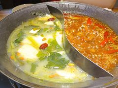 -阳阳老火锅(小南门店)