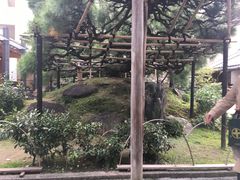 -中村藤吉(本店)