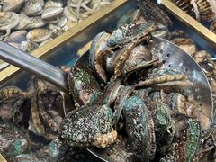 -半岛听涛蒸汽海鲜自助(K11店)