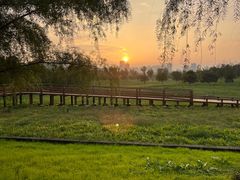 -汉长安城未央宫国家考古遗址公园