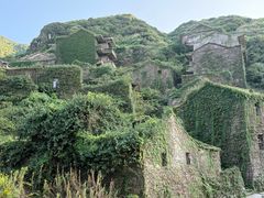 -枸杞岛