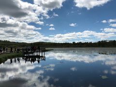 -塞罕坝国家级自然保护区