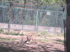 -秦皇岛野生动物园