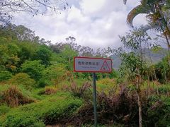 -田心森林公园
