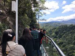 -九龙江国家森林公园