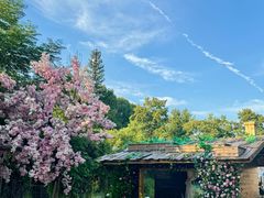 -HERRE·FARM 赫尔露营农场·团建聚会包场