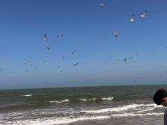 -那香海钻石沙滩浴场