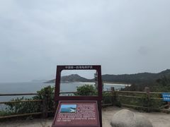 -广东惠东海龟国家级自然保护区