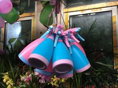 -万商花鸟市场