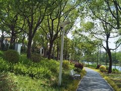 -新江湾城公园
