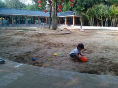 android_upload_pic-大沙河公园