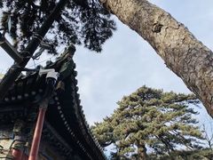 -潭柘寺景区
