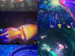 -海合安武汉极地海洋公园