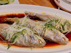 -滇铺子·云南特色菜·第九届野生菌美食节(东风东路c86店)
