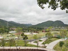 -白石龙音乐公园