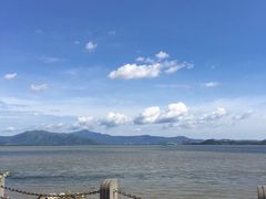 -深圳湾公园(南山区)