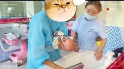 -北京享悦时光月子会所