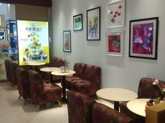 -哈根达斯(石家庄北国店)