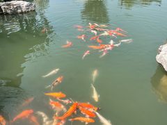 -苏州味道(阳澄湖服务区店)