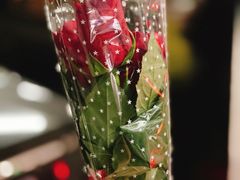 -曲阳花鸟市场(曲阳路店)