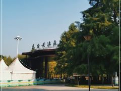 -黄海国家森林公园