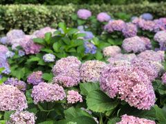 -常州古运河南大街文化旅游区-人民公园