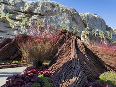 -北京西山国家森林公园