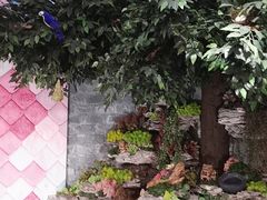 -星空布洛早教·托育(滨江店)