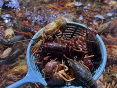-聚盛源蒸汽海鲜火锅烤肉自助(巨川金海岸购物广场店)
