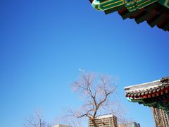 -西海子公园