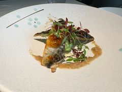 法式炙鯖鱼配姜汁蔬豆-Solo(衡山路店)