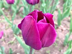 景点-长春公园(普阳街道)