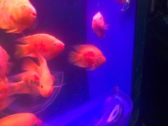 -多彩贵州城极地海洋世界