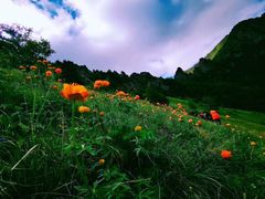 -阳台山自然风景区