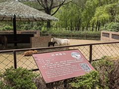 -沈阳森林动物园