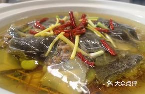 Signature Oil-Steamed Softshell Turtle