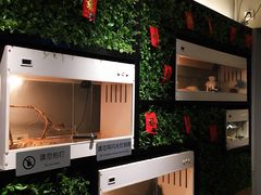 -打趸BTC·Breaktime cafe(北京路店)