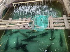 -绿雅居原生态农庄(小涌店)