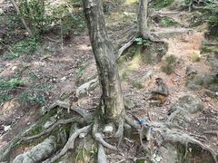 -黔灵山公园