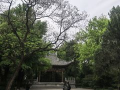 -汇龙潭