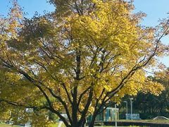 -白塘生态植物园
