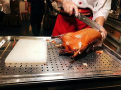 -阿五黄河大鲤鱼(纬三路店)