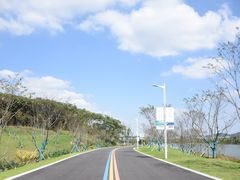 -羊山湖公园